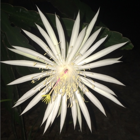 Meet your Posher, Erin - Picture 7 of 9